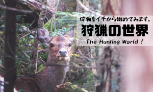 狩猟の世界